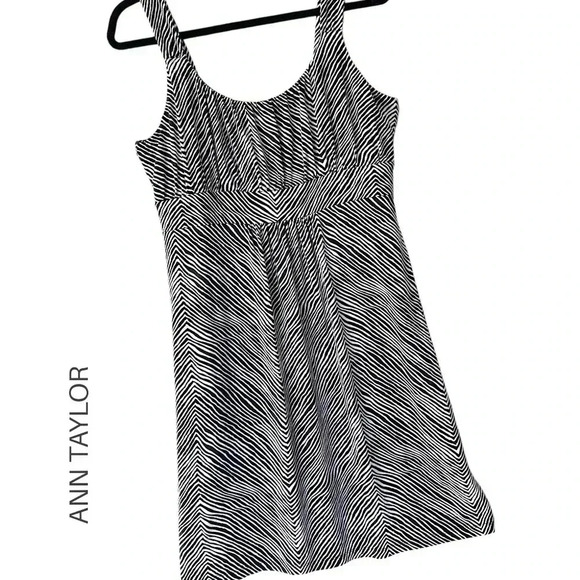 ANN TAYLOR NWOT SLEEVELESS ZEBRA PRINT DRESS | SIZE: LARGE - Picture 1 of 9